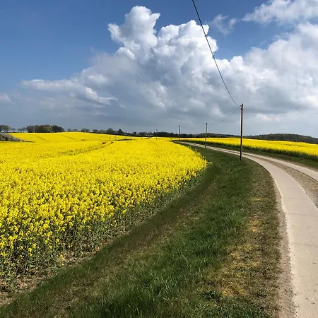 Am Lohmer Wanderweg Lohme