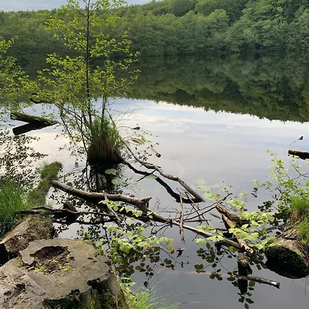 Am Lohmer Wanderweg * Lohme